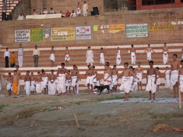 scuola di yoga per piccoli bramini